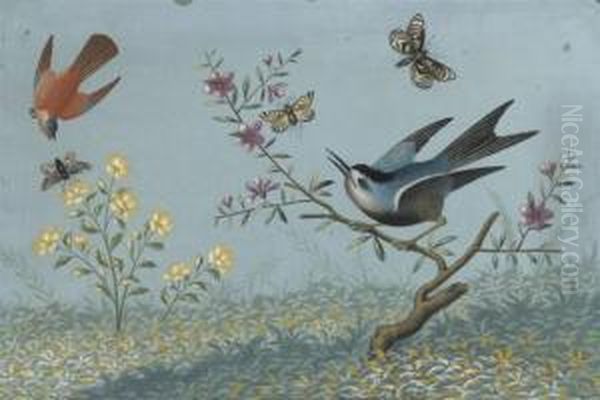 Still Life With Flowers, Birds And Butterflies - view 1