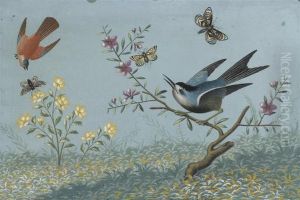 Still Life With Flowers,
Birds And Butterflies by Vittorio Raineri