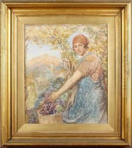 Study Of A Girl Picking Grapes