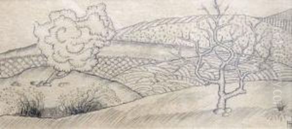 Landscape - view 1