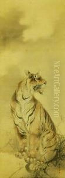 Tiger - view 1
