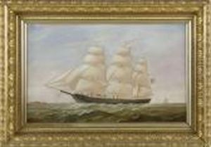 The Ship Hampden The Ship Hampden
