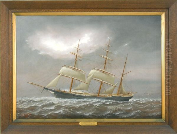 Portrait Of The American Bark - view 1