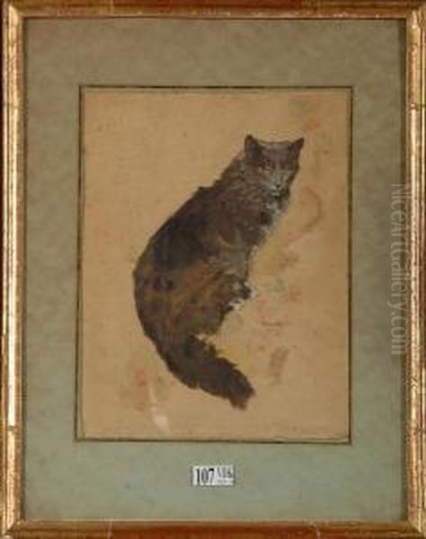 Chat Assis - view 1