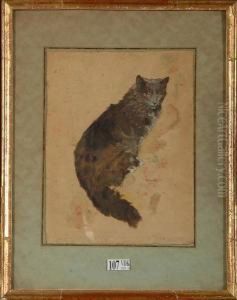 Chat Assis by Henri Ramah