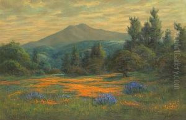 A Field Of Poppies And Lupine With Mt. Tamalpais In The Distance - view 1