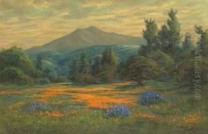A Field Of Poppies And Lupine With Mt. Tamalpais In The Distance