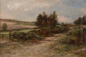 An Angus Pathway by Allan Ramsay