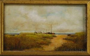 View To The Sea Across The Seagrass