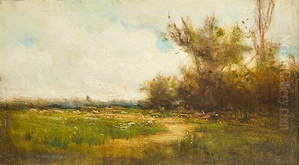 Country Landscape With Pathway - view 1