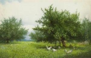 Poultry Feeding by Milne Ramsey