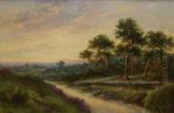Woodland Scene At Sunset - view 1