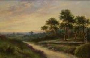 Woodland Scene At Sunset
