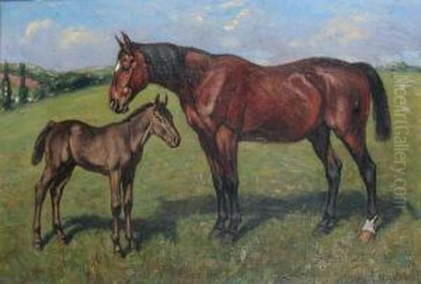 Mare And Foal In A Field - view 1