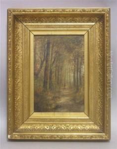 Landscape Landscape