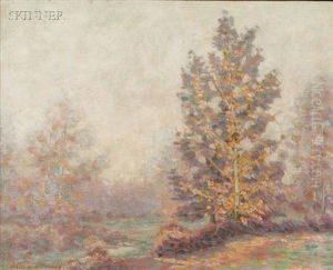 Trees Through The Mist