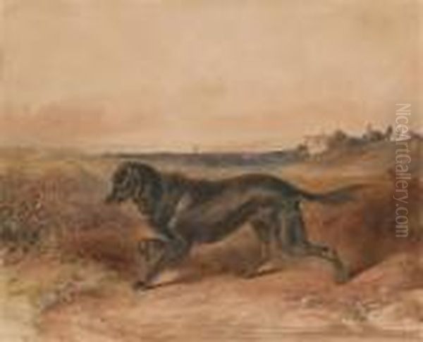 Streunenderhund - view 1