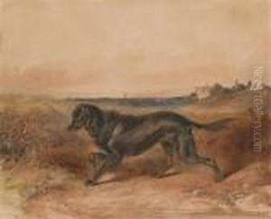 Streunenderhund by Johann Matthias Ranftl