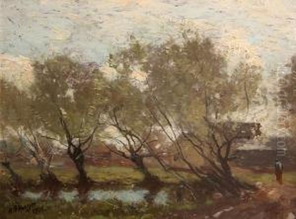 Trees Along A Pool - view 1