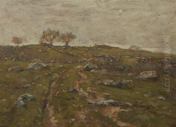 Path In The Hills - view 1