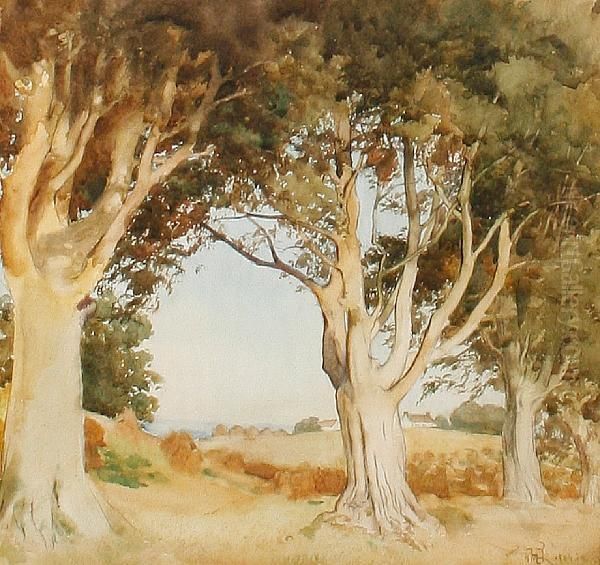 Study Of Trees With A View Of Cottages In The Distance - view 1