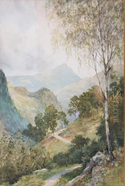 Mountain Landscape - view 1