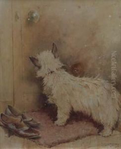 The First Foot'cairn Terrier Waiting At The Door by Andrew Scott Rankin