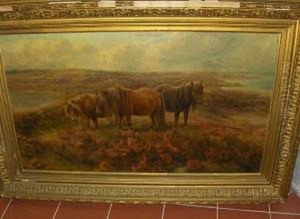 Wild Ponies On Moorland - view 1