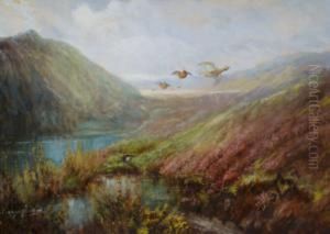 Watercolour
 And The Companion