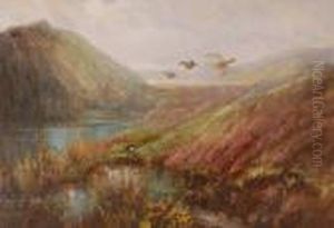 Watercolour,grouse In Flight In The Highlands, Signed, 14" X 20"