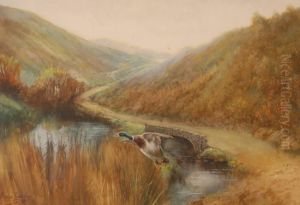 Watercolour,mallard Duck In Flight In The Highlands, Signed, 14.5" X 20"