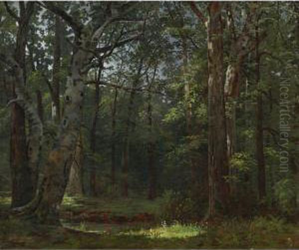 Swamp (the Buttonwood Grove) - view 1
