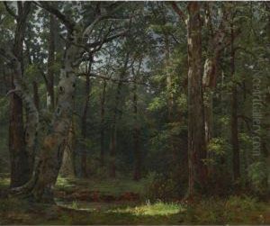 Swamp (the Buttonwood Grove)