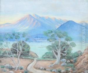 Coast Range, California by Julia V Ransom