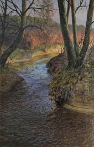 Olszanka (strumien Na Wiosne) by Jozef Rapacki