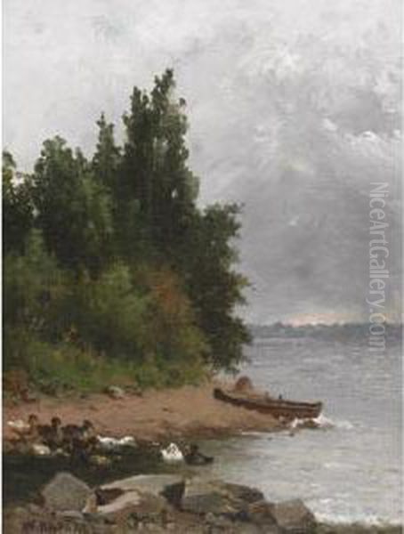 Ducks At The Lake - view 1