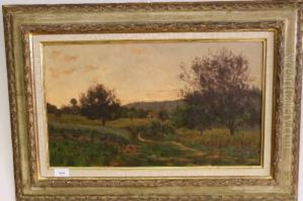 Landschap In De Namiddag, Frankrijk - view 1