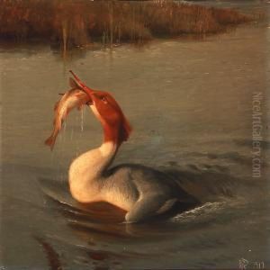 Merganser With A Fish by Niels Pieter Rasmussen