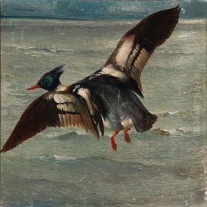 A Duck Flying Over The Sea by Niels Pieter Rasmussen