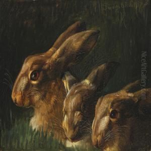 Hares by Niels Pieter Rasmussen