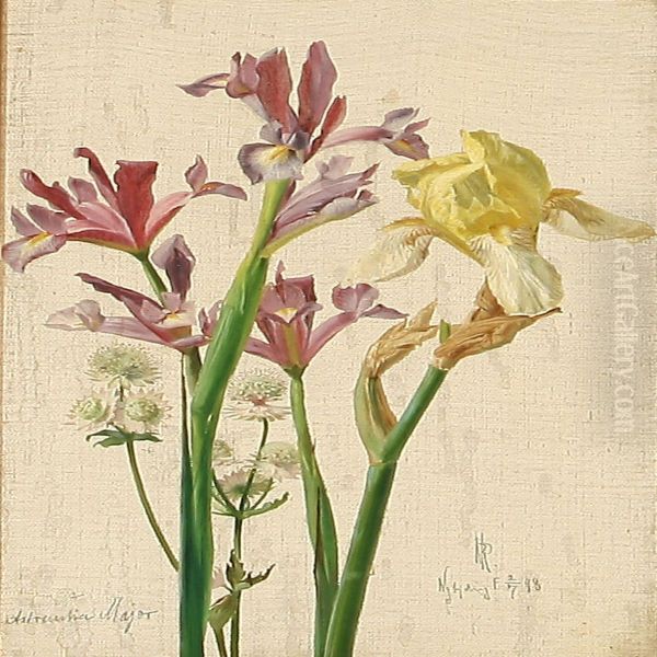 Iris And Astrantia Major - view 1