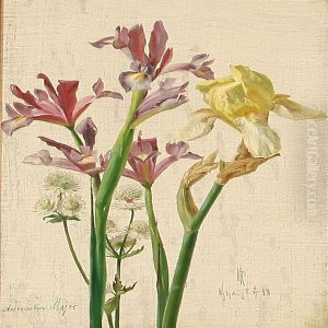 Iris And Astrantia Major by Niels Pieter Rasmussen
