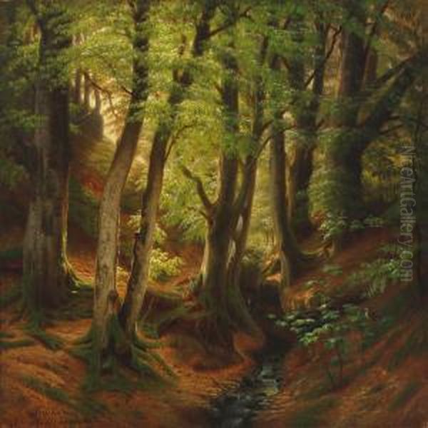 Spring Forest With A Minor Stream - view 1