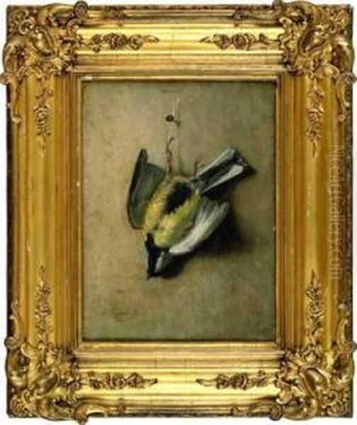 Oiseau Mort - view 1