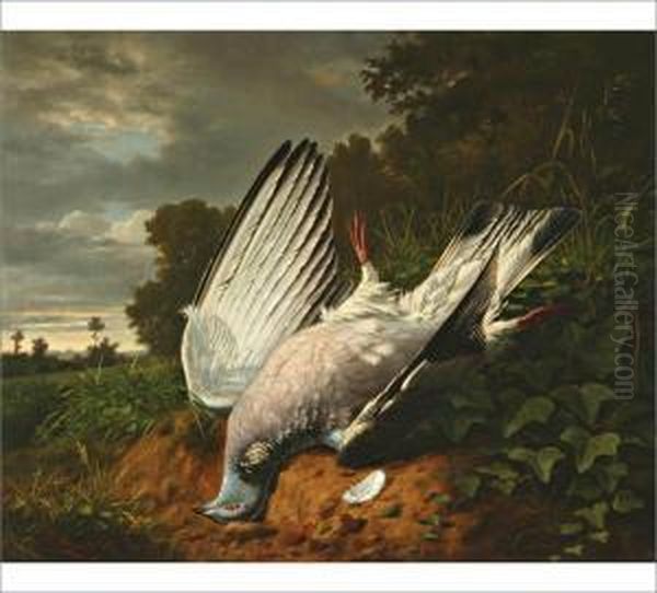 A Dove - view 1