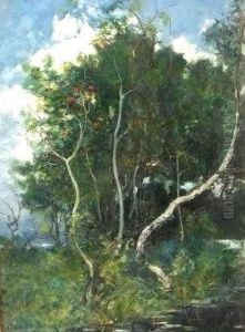 "swan Island by Alexander Wellwood Rattray