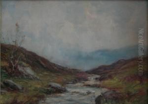 Meandering Brook by Alexander Wellwood Rattray