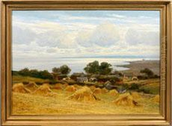 Sommerstimmung An Einem Bodden Auf Rugen - view 1