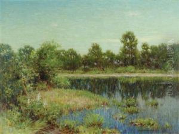 Summer Reflections - view 1