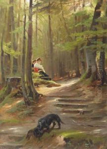 A Sunny Spot In The Woods - view 1